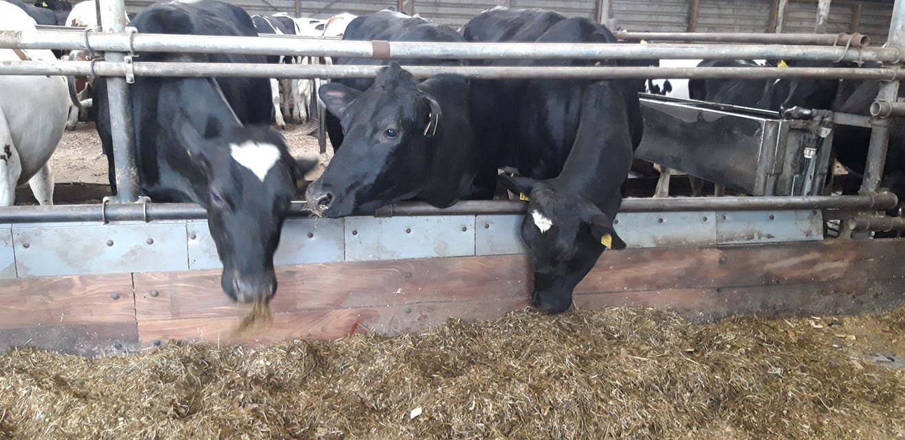 Boerderijwinkel Lintelo met aardappelen, fruit, groenten, eieren